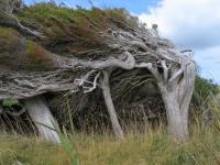 Albums/20060200-New Zealand 2006/20060212-south/5